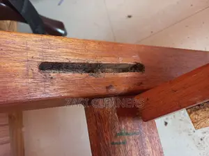 Comprehensive Fumigation Solutions for Bedbugs