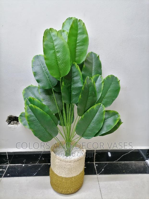 Banana Plant and Basket With Pebble Stones