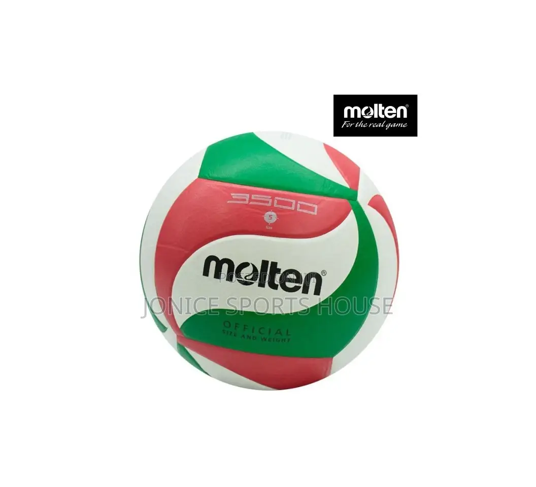 Molten Volleyball Balls