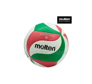 Molten Volleyball Balls