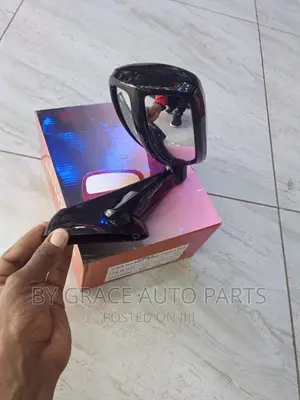 Wing Mirror Prado.