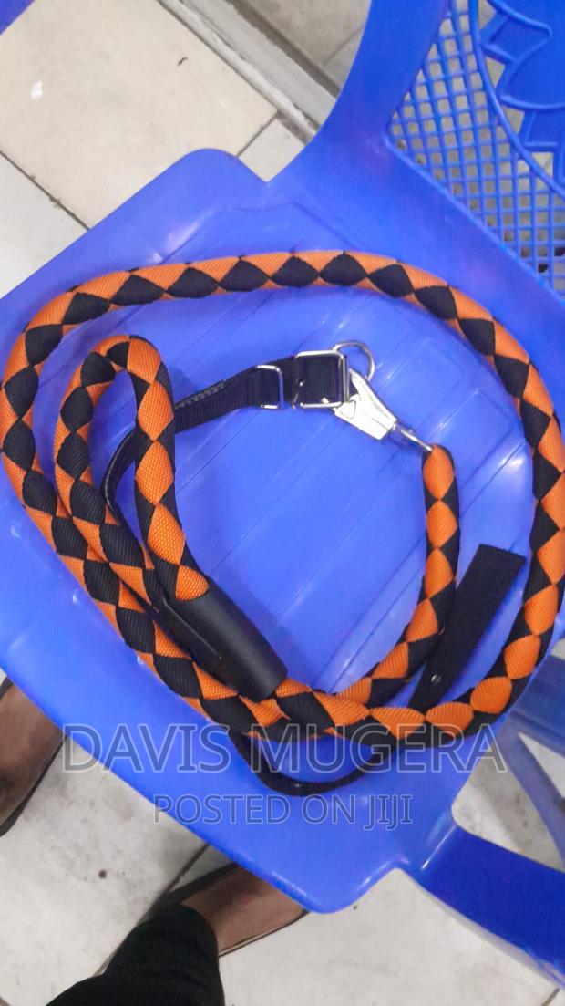 Strong Heavy Duty Braided Dog Leash and Collar Set - main view