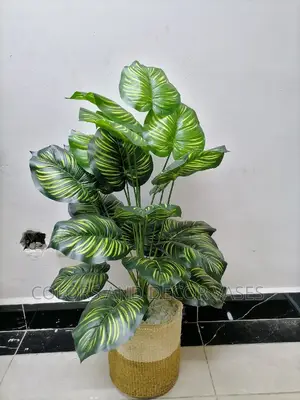 1m Long Plant + Basket With Pebble Stones