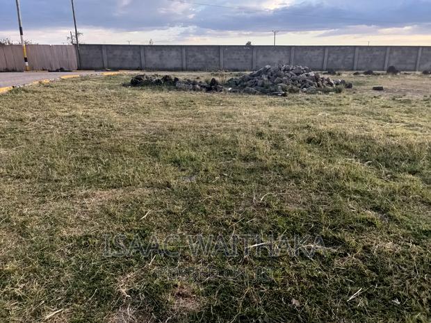 1/4 Acre Land for Sale - thumbnail 4