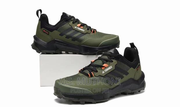 Terrex Ax4 Gore-Tex Hiking Shoes - main view