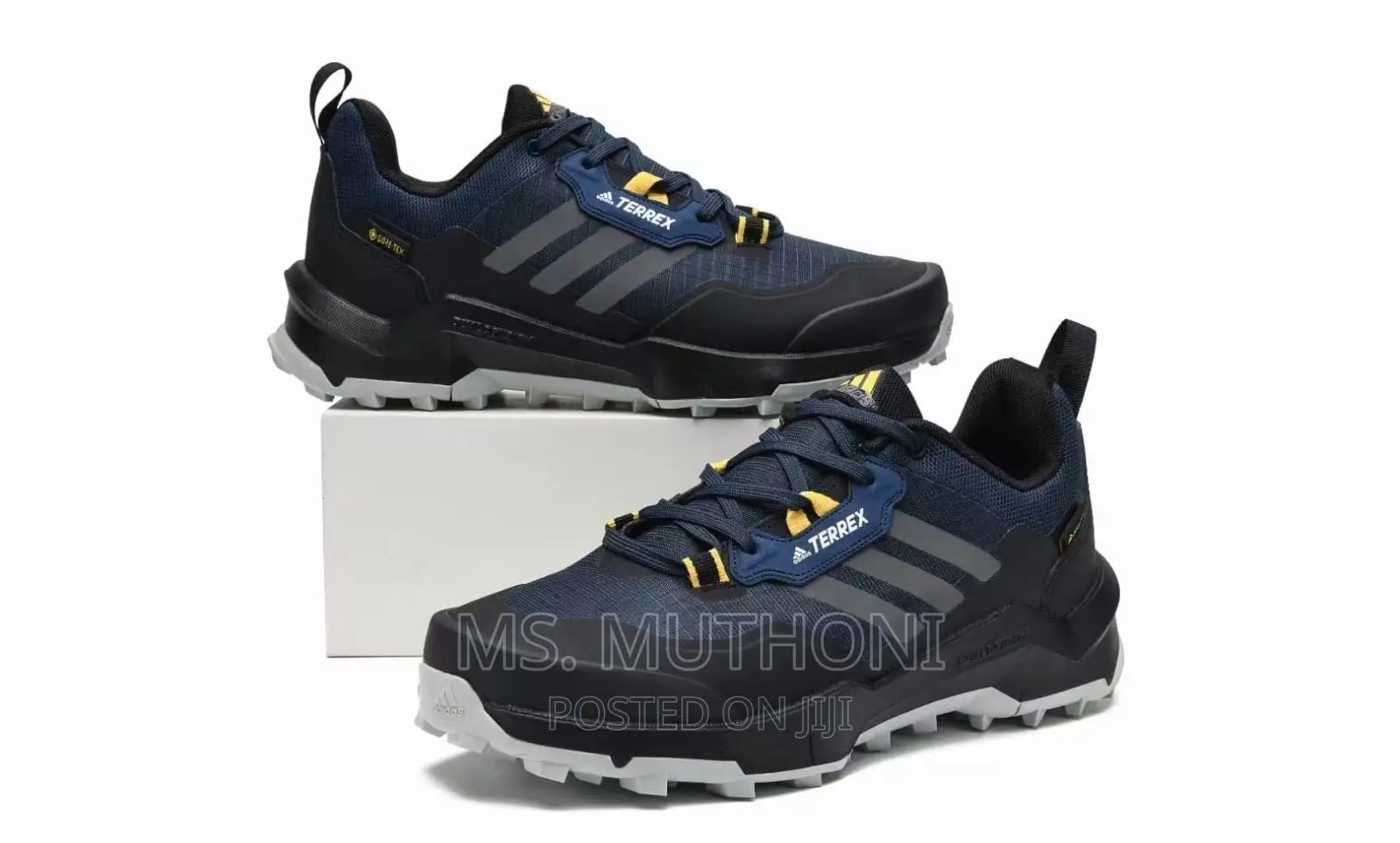 Terrex Ax4 Gore-Tex Hiking Shoes
