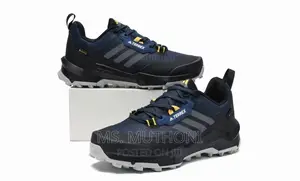 Terrex Ax4 Gore-Tex Hiking Shoes