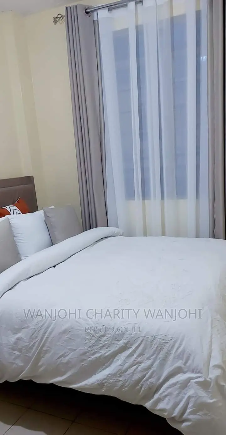 Furnished Apartments in South B One Bedroom