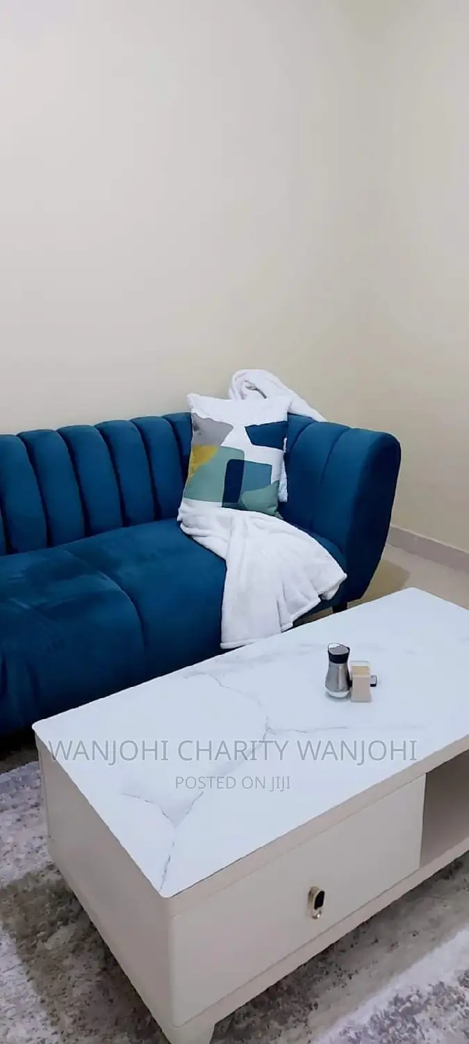 Furnished Apartments in South B One Bedroom