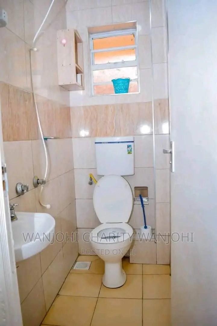 Furnished Apartments in South B One Bedroom