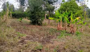 Residential Quarter Acre in Ongata Rongai, Nkoroi. Red Soil