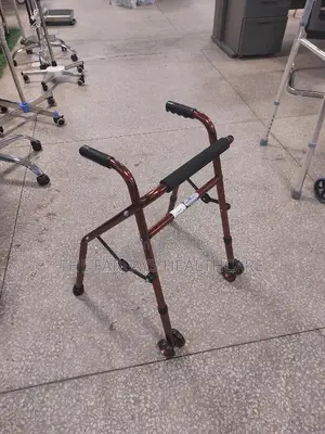 Chidren Walker With Wheels*^