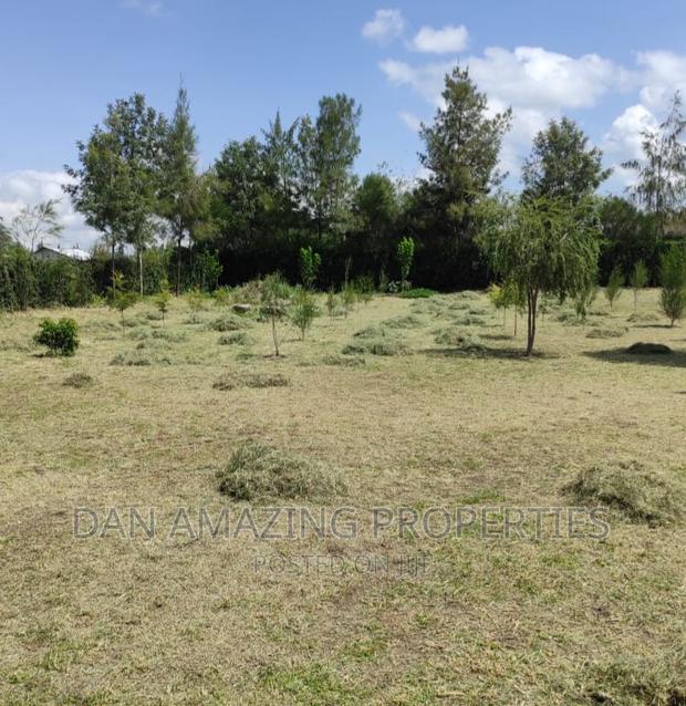 4bdrm Maisonette in Rangau On 1/2 Acre, Ongata Rongai for sale - thumbnail 8