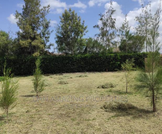 4bdrm Maisonette in Rangau On 1/2 Acre, Ongata Rongai for sale - thumbnail 7