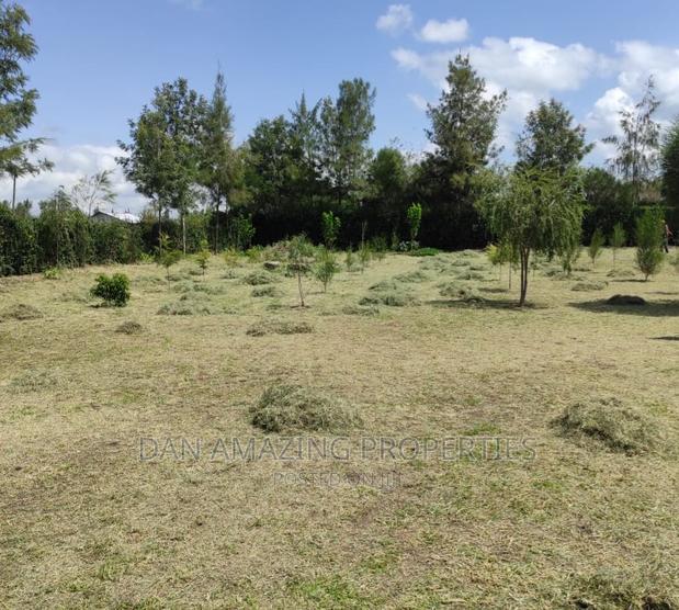 4bdrm Maisonette in Rangau On 1/2 Acre, Ongata Rongai for sale - thumbnail 13