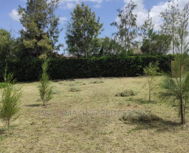 4bdrm Maisonette in Rangau On 1/2 Acre, Ongata Rongai for sale - thumbnail 12