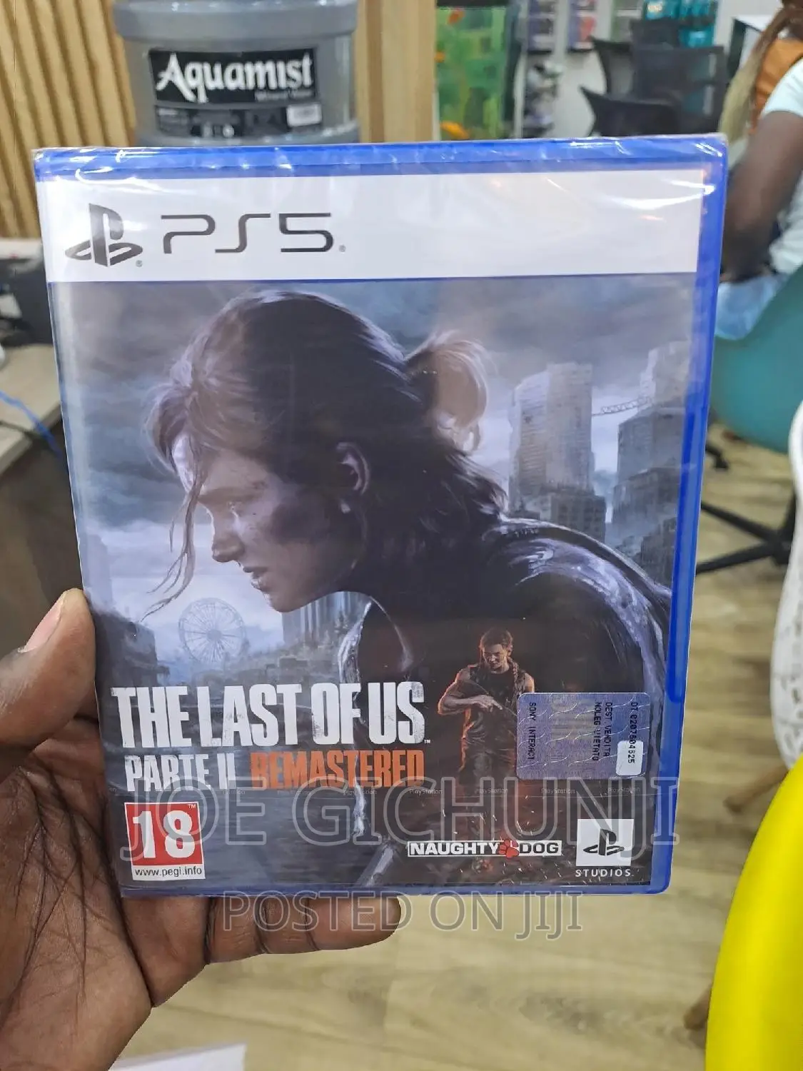 The Last of US Part 2 Remastered
