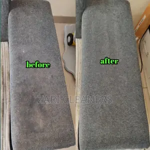 Professional Sofa Cleaners