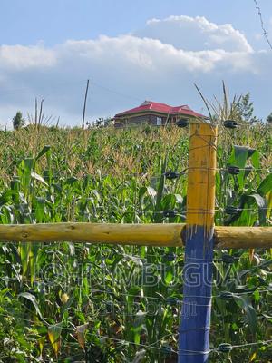 Prime Plots for Sale in Kenol Town - thumbnail 2