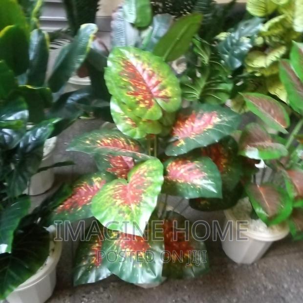 Artificial Plants - main view