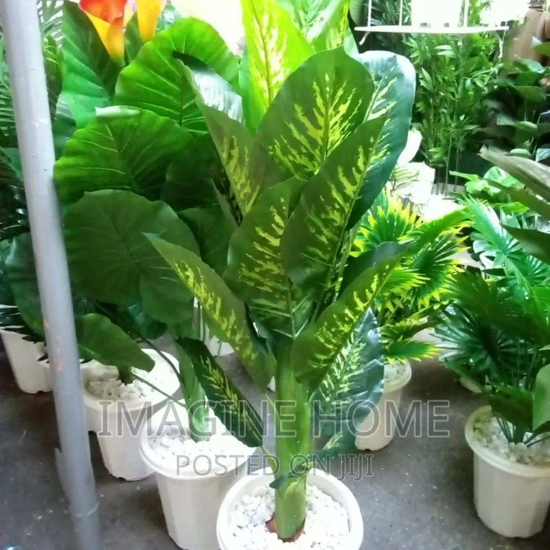 Artificial Plants