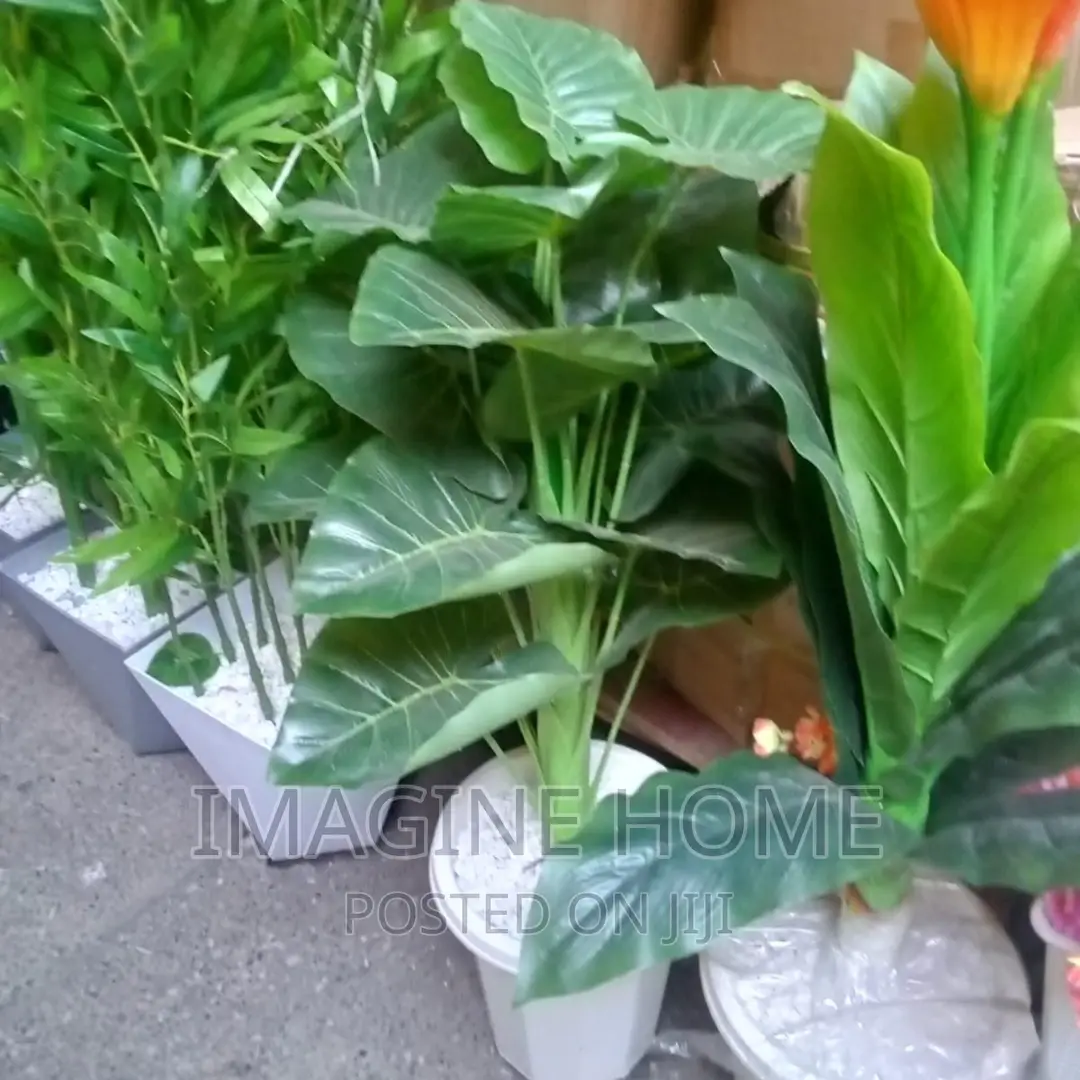 Artificial Plants