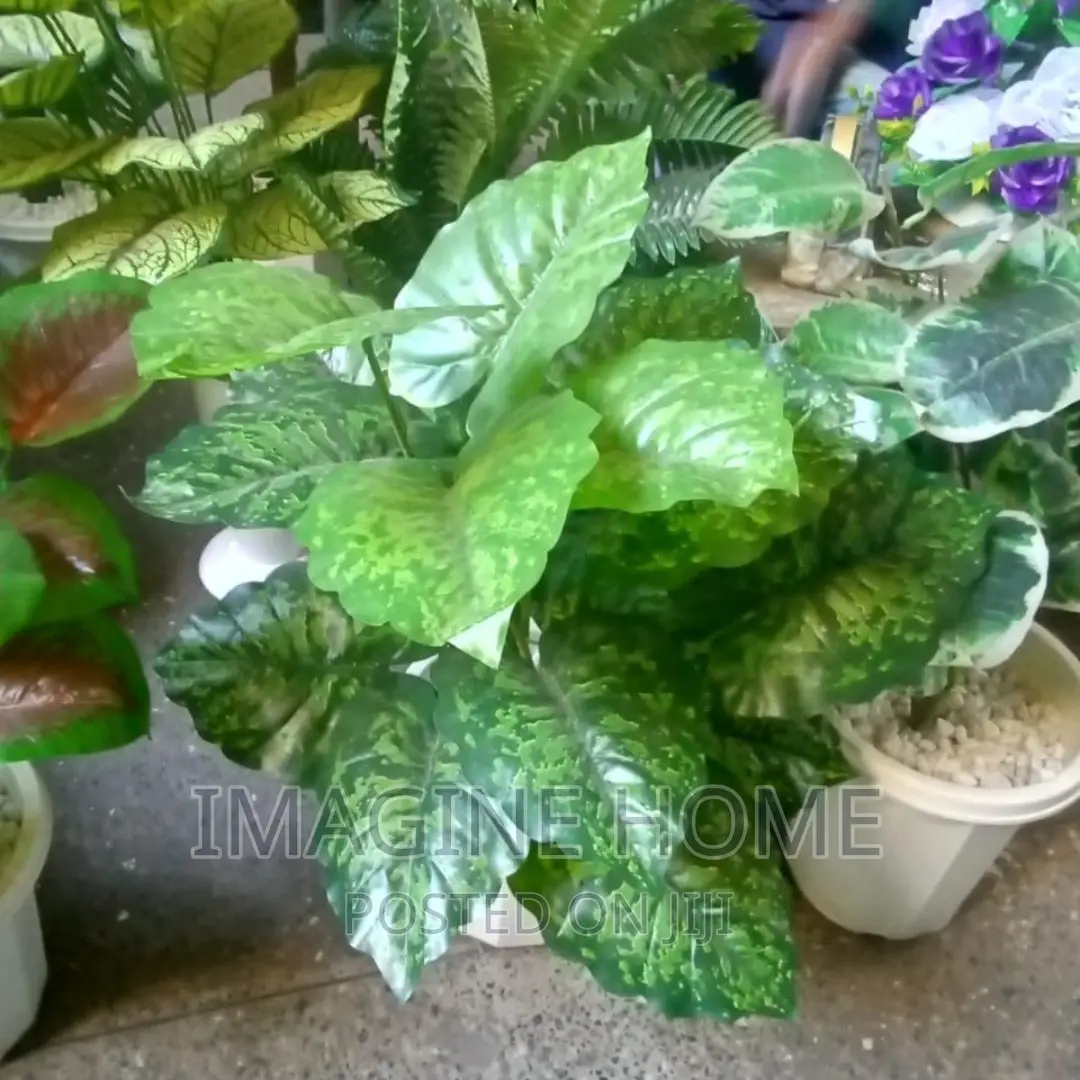 Artificial Plants