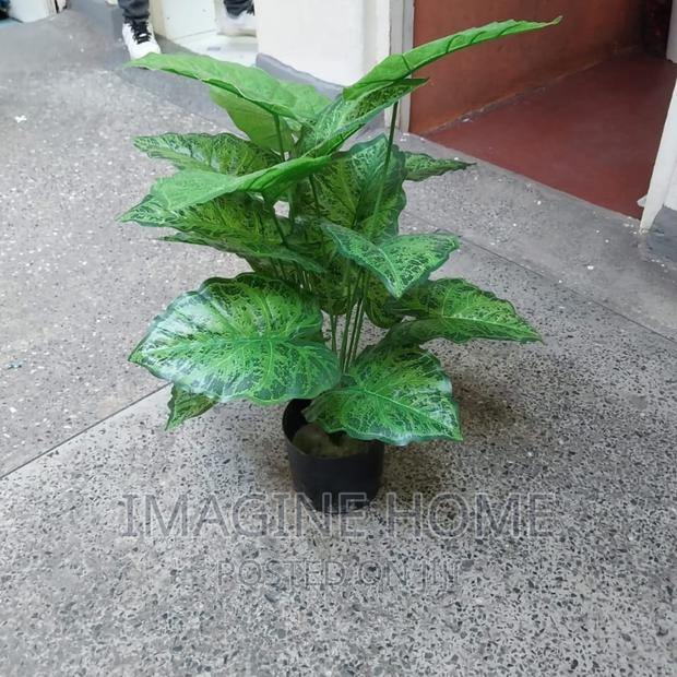 Artificial Plants