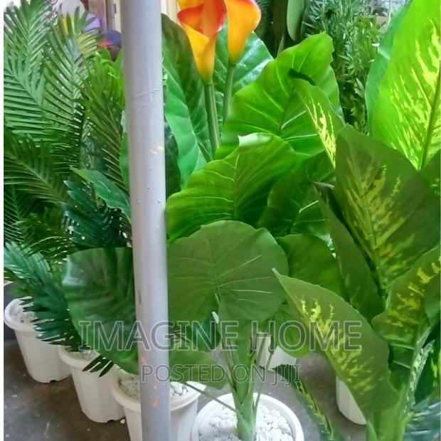 Artificial Plants - main view