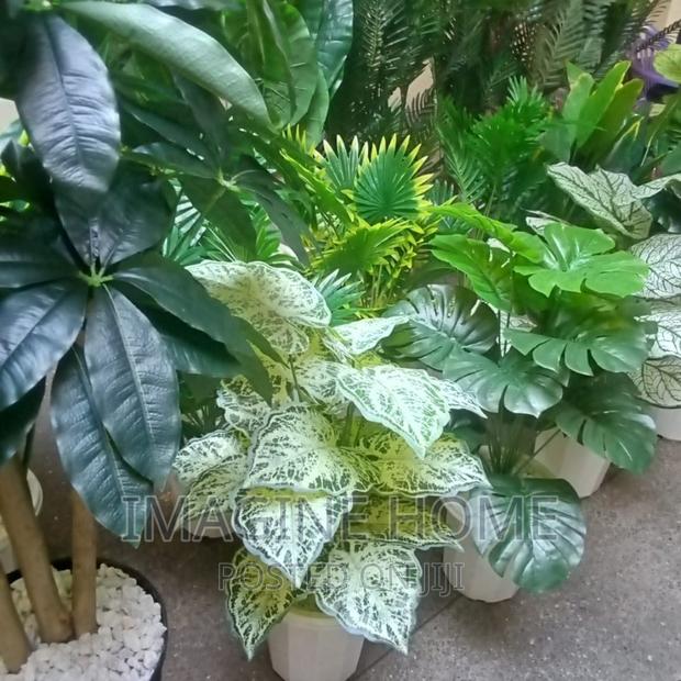 Artificial Plants - main view