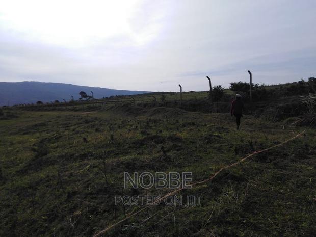 Plot on Sale - thumbnail 5