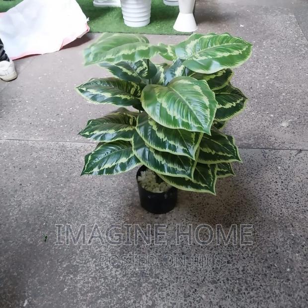 Artificial Plants - main view