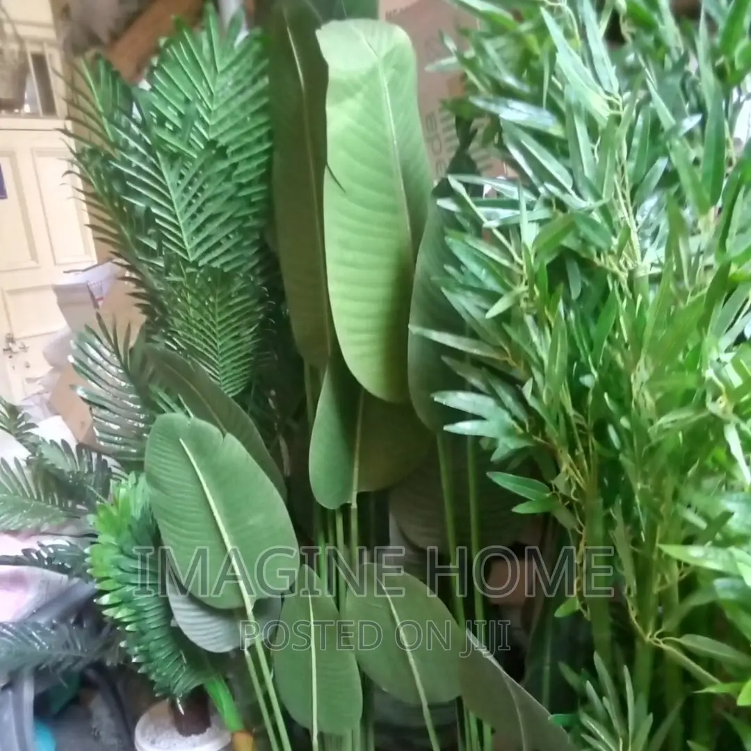 Artificial Plants