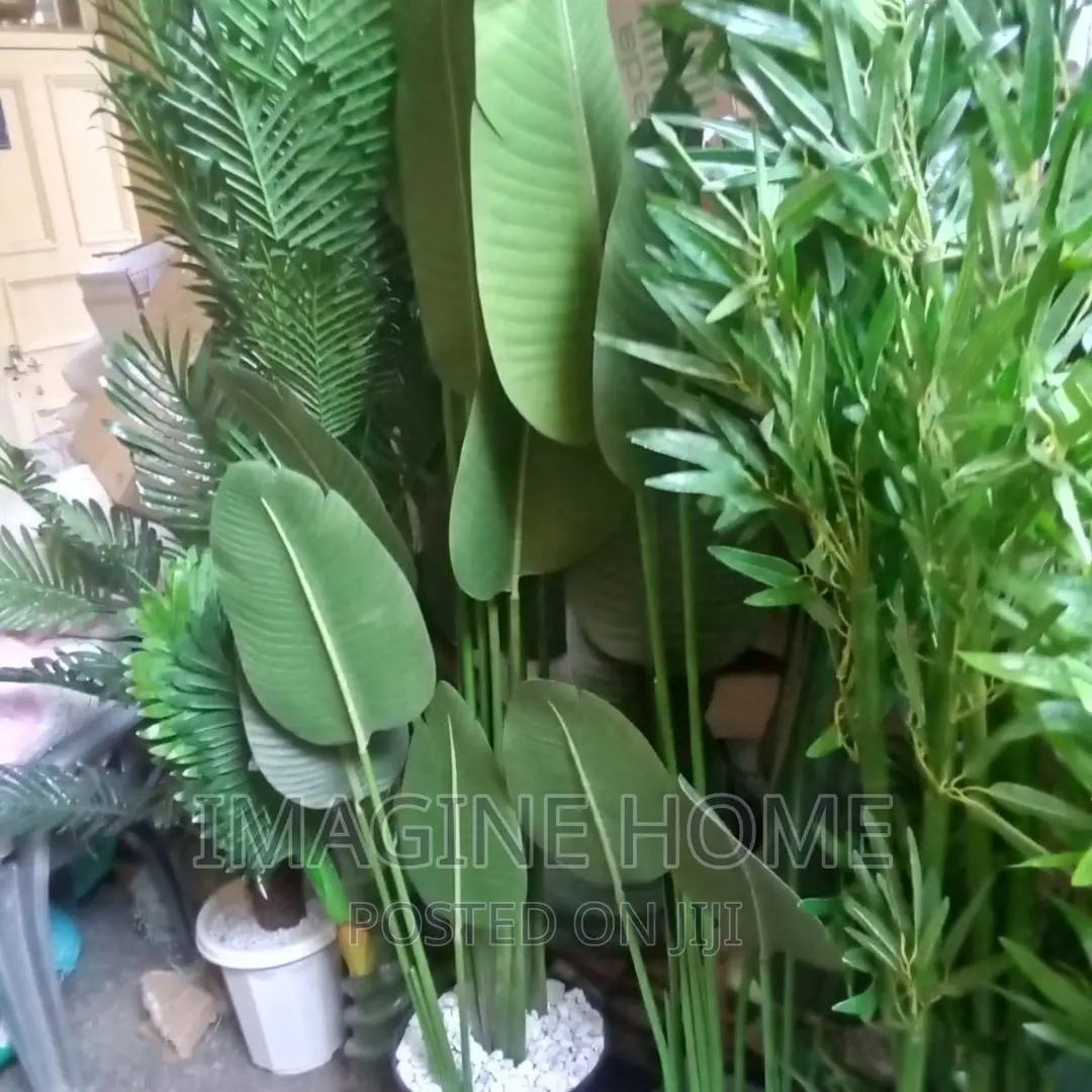 Artificial Plants