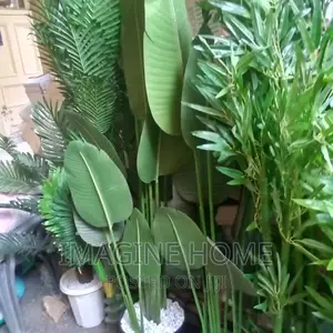Artificial Plants