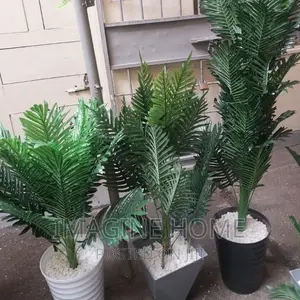Artificial Plants