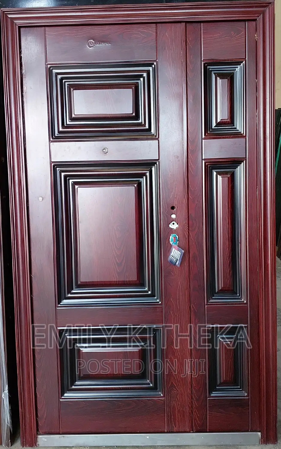 Security Steel Double Door at 28,000