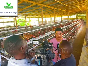 3 Tiers 96 Birds Layer Cage in Kenya