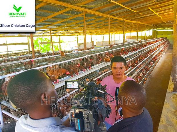 3 Tiers 96 Birds Layer Cage in Kenya - thumbnail 2