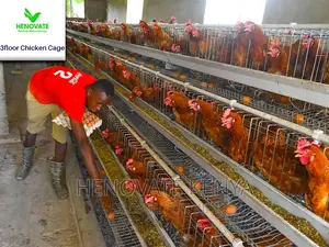 3 Tiers 96 Birds Layer Cage in Kenya