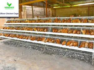 3 Tiers 96 Birds Layer Cage in Kenya