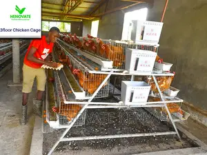 3 Tiers 96 Birds Layer Cage in Kenya