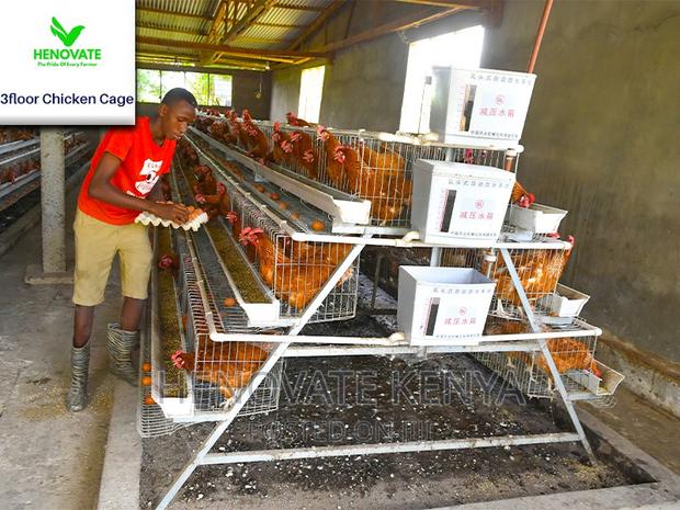 3 Tiers 96 Birds Layer Cage in Kenya - thumbnail 4