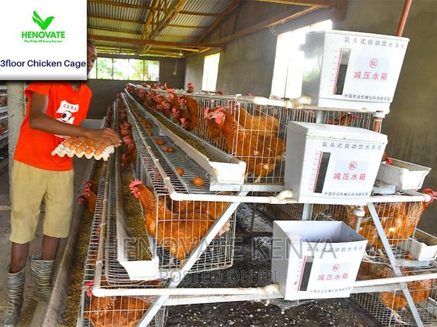96 Hens Capacity.Chicken Layer. - thumbnail 4