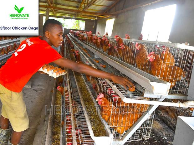 96 Hens Capacity.Chicken Layer. - thumbnail 5