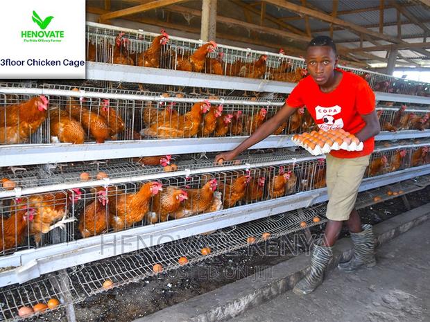 96 Hens Capacity.Chicken Layer. - main view