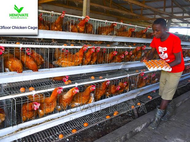 96 Hens Capacity.Chicken Layer. - thumbnail 3
