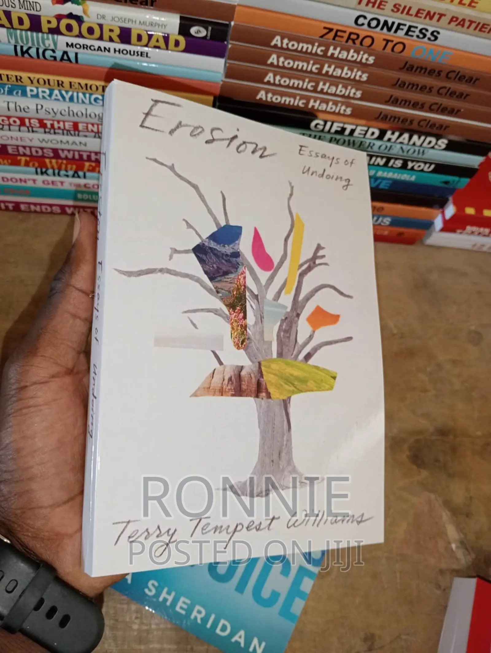 Erosion: Essays of Undoing Book by Terry Tempest Williams