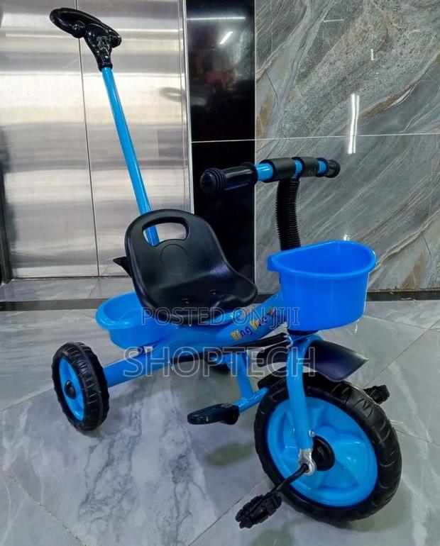 Push Handle Tricycle - main view