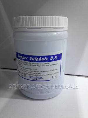 Snail Killer Copper Sulphate B.P 1kg - main view